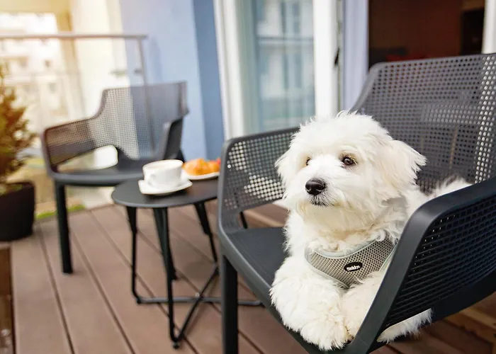 Baltic Sea Maczka 13 Apartament *